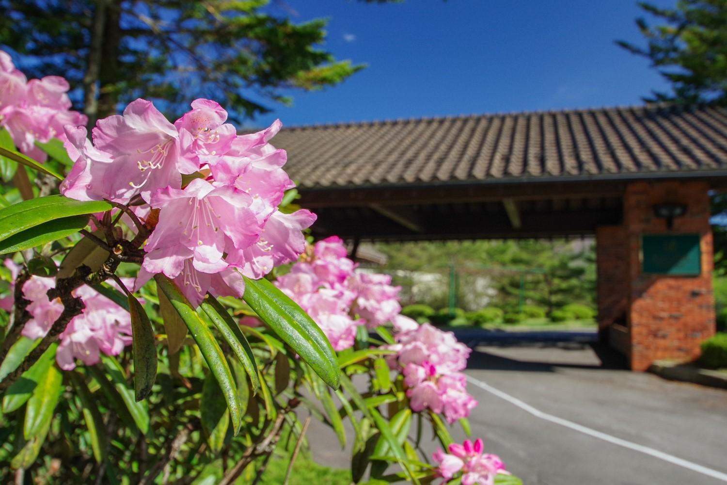 Tsumagoi Prince Hotel Exteriér fotografie